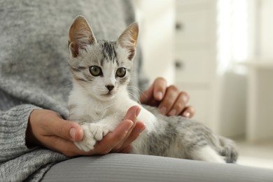 Photo of Woman with cute kitten at home, closeup