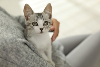 Photo of Woman with cute kitten at home, closeup