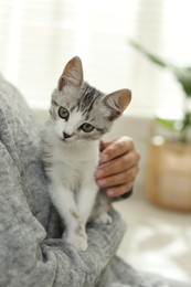 Photo of Woman with cute kitten at home, closeup