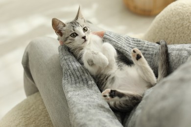 Photo of Woman with cute kitten at home, closeup