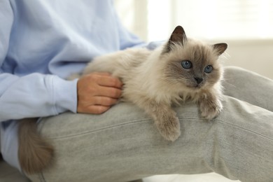 Photo of Woman with cute kitten at home, closeup