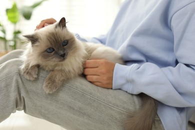 Woman with cute kitten at home, closeup