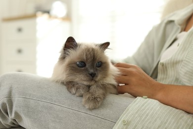 Photo of Woman with cute kitten at home, closeup