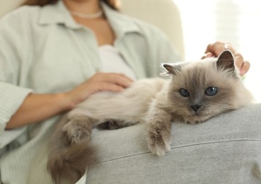 Woman with cute kitten at home, closeup