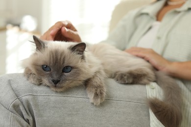 Woman with cute kitten at home, closeup