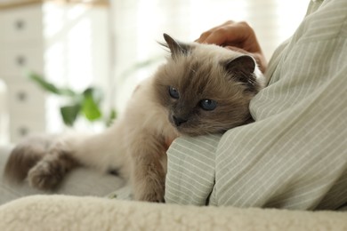 Photo of Woman with cute kitten at home, closeup