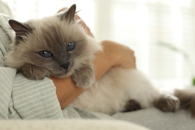 Photo of Woman with cute kitten at home, closeup