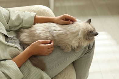 Photo of Woman with cute kitten at home, closeup