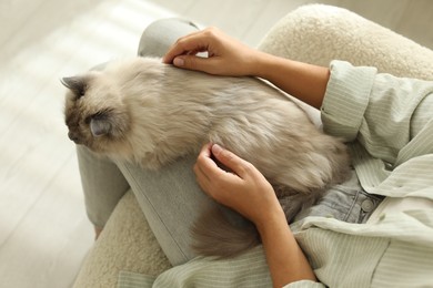 Photo of Woman with cute kitten at home, closeup