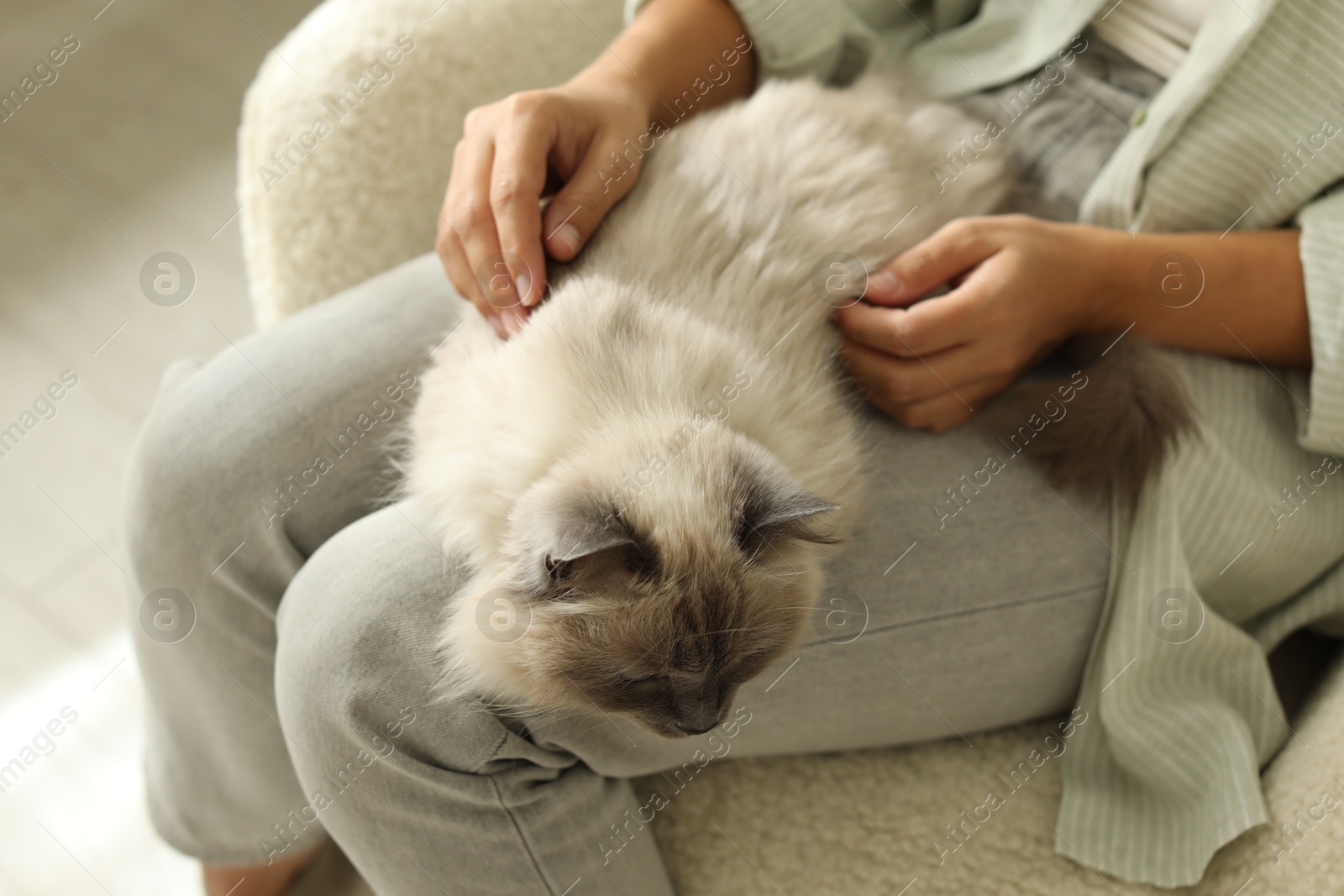 Photo of Woman with cute kitten at home, closeup