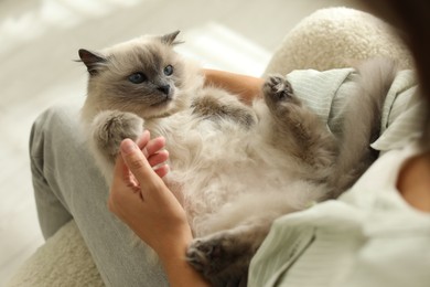 Woman with cute kitten at home, closeup