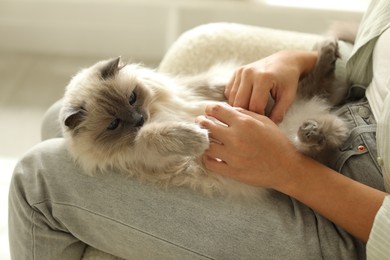 Photo of Woman with cute kitten at home, closeup