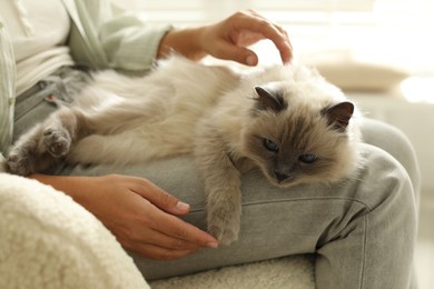 Photo of Woman with cute kitten at home, closeup