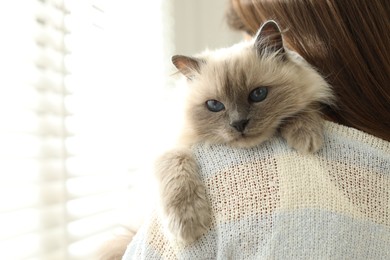 Photo of Woman with cute kitten near window at home, closeup. Space for text