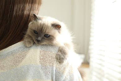 Photo of Woman with cute kitten near window at home, closeup. Space for text