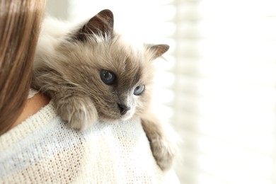 Woman with cute kitten near window at home, closeup. Space for text