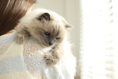 Photo of Woman with cute kitten near window at home, closeup. Space for text