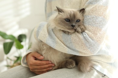 Woman with cute kitten at home, closeup