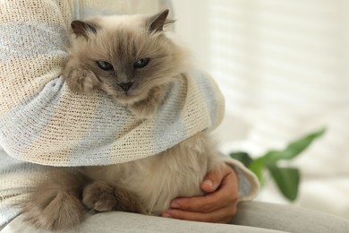 Photo of Woman with cute kitten at home, closeup