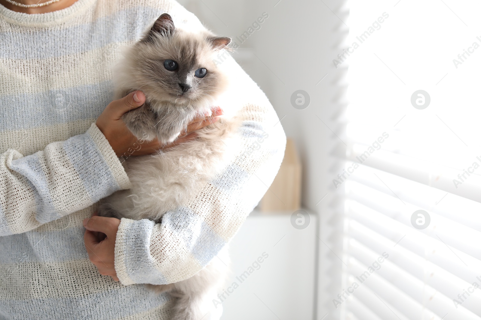 Photo of Woman with cute kitten near window at home, closeup. Space for text