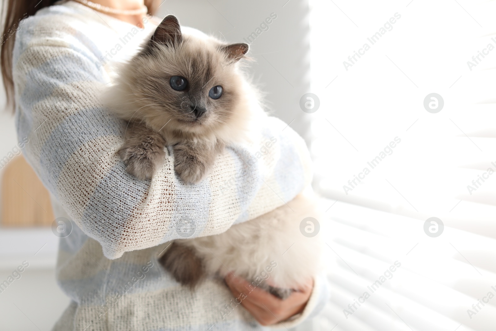 Photo of Woman with cute kitten near window at home, closeup. Space for text