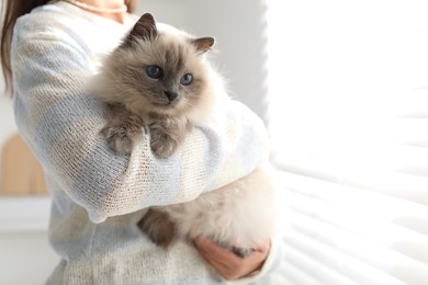 Photo of Woman with cute kitten near window at home, closeup. Space for text