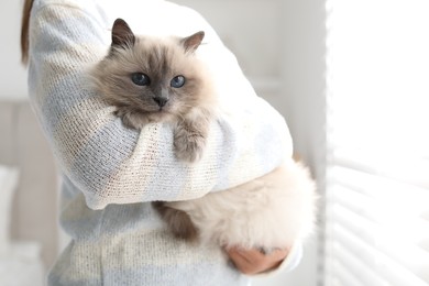 Photo of Woman with cute kitten near window at home, closeup