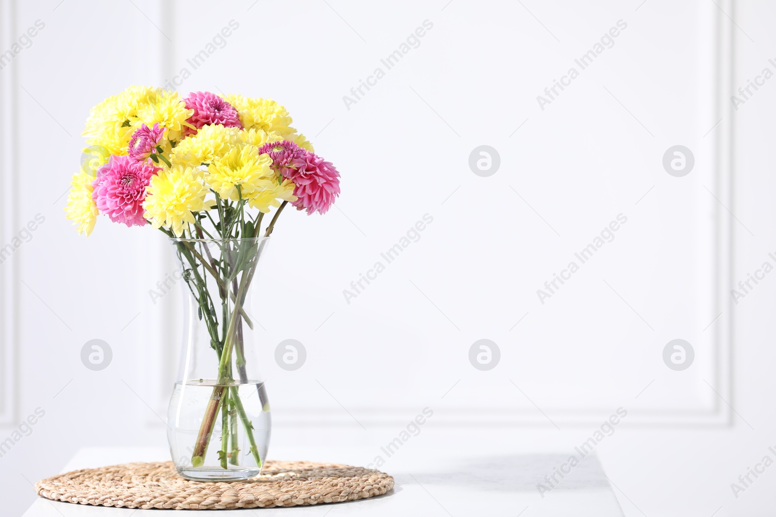 Photo of Beautiful chrysanthemum flowers in vase on table indoors. Space for text