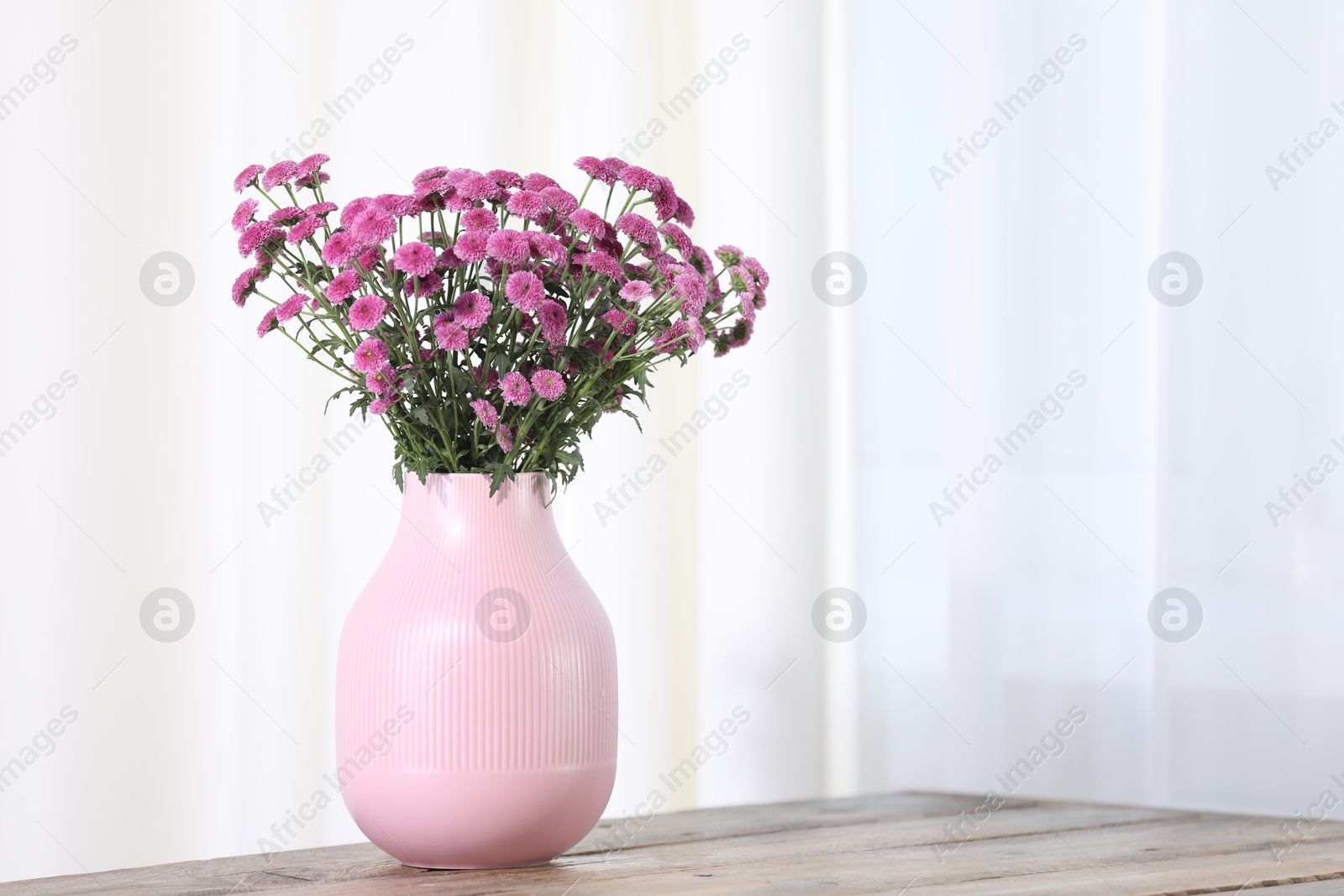 Photo of Beautiful pink flowers in vase on wooden table indoors. Space for text