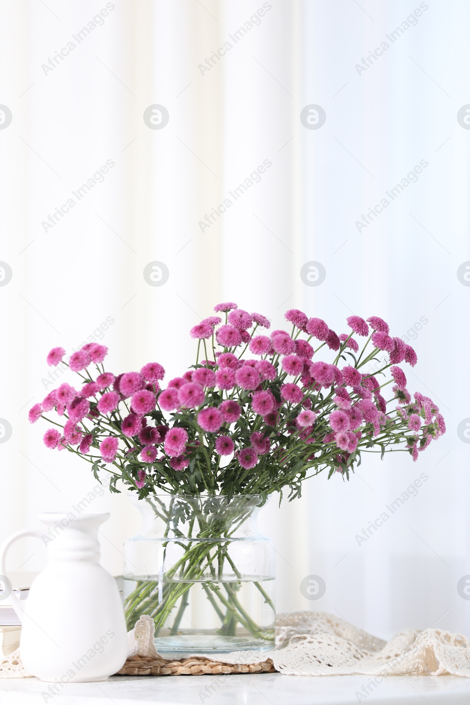 Photo of Beautiful pink flowers in vase on table indoors. Space for text