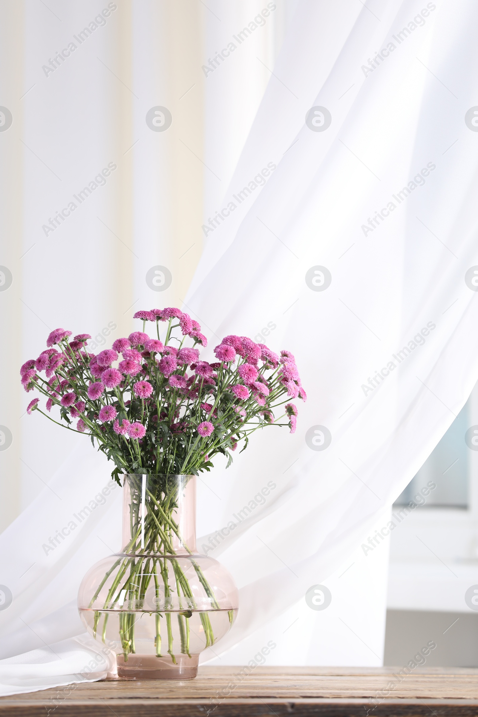 Photo of Beautiful pink flowers in vase on table indoors. Space for text