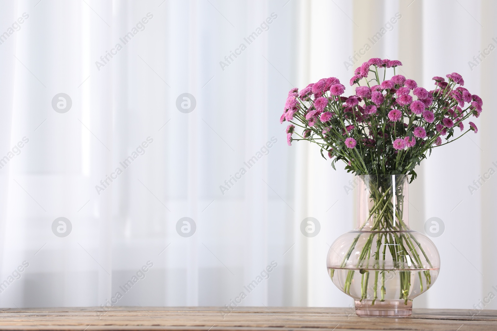 Beautiful pink flowers in vase on table indoors. Space for text Photo of Beautiful pink flowers in vase on table indoors. Space for text