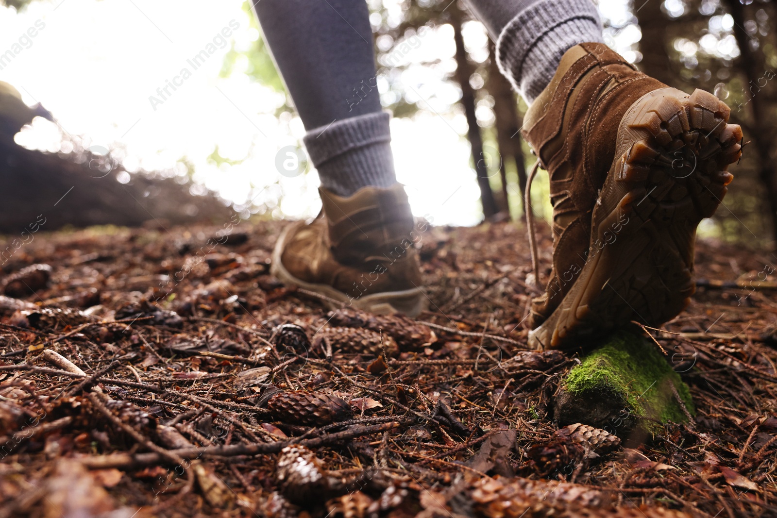 Photo of Hiker in trekking shoes walking in forest, closeup