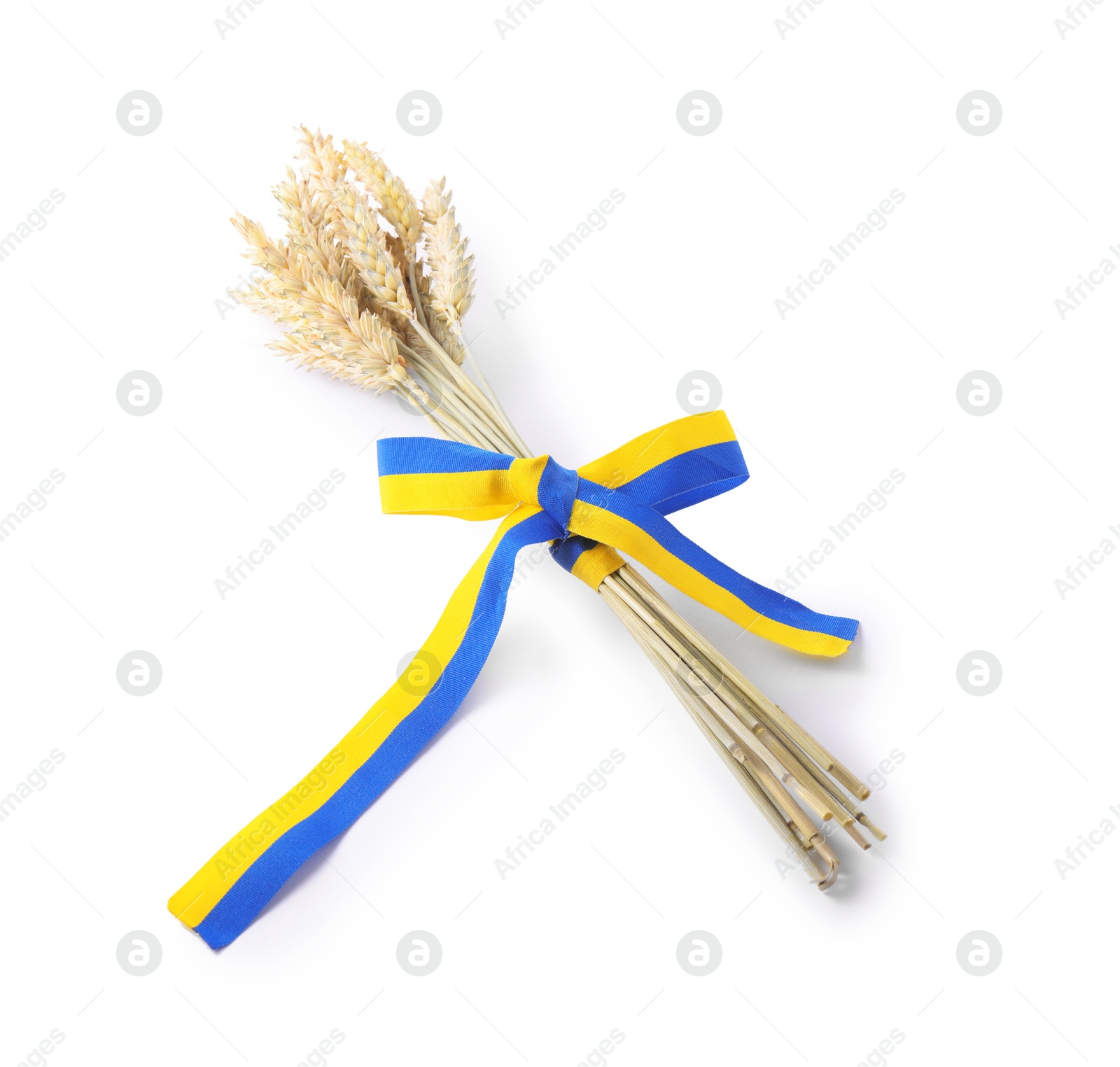 Photo of Ears of wheat with ribbon in colors of Ukrainian national flag isolated on white