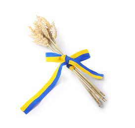 Photo of Ears of wheat with ribbon in colors of Ukrainian national flag isolated on white