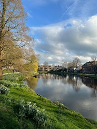 Photo of Scenic view of beautiful flowers, tree and canal under blue sky