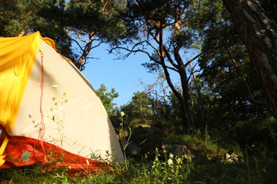 Photo of Modern camping tent in forest at summer, space for text