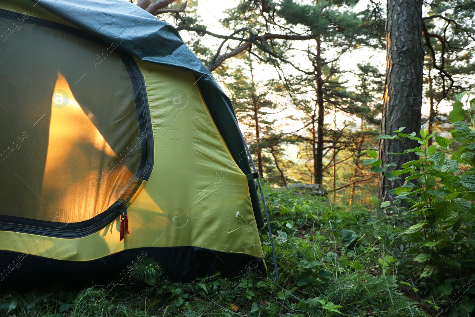 Photo of Modern camping tent in forest at summer, space for text