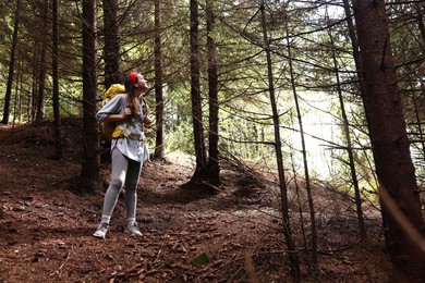 Young hiker with backpack enjoying time in forest