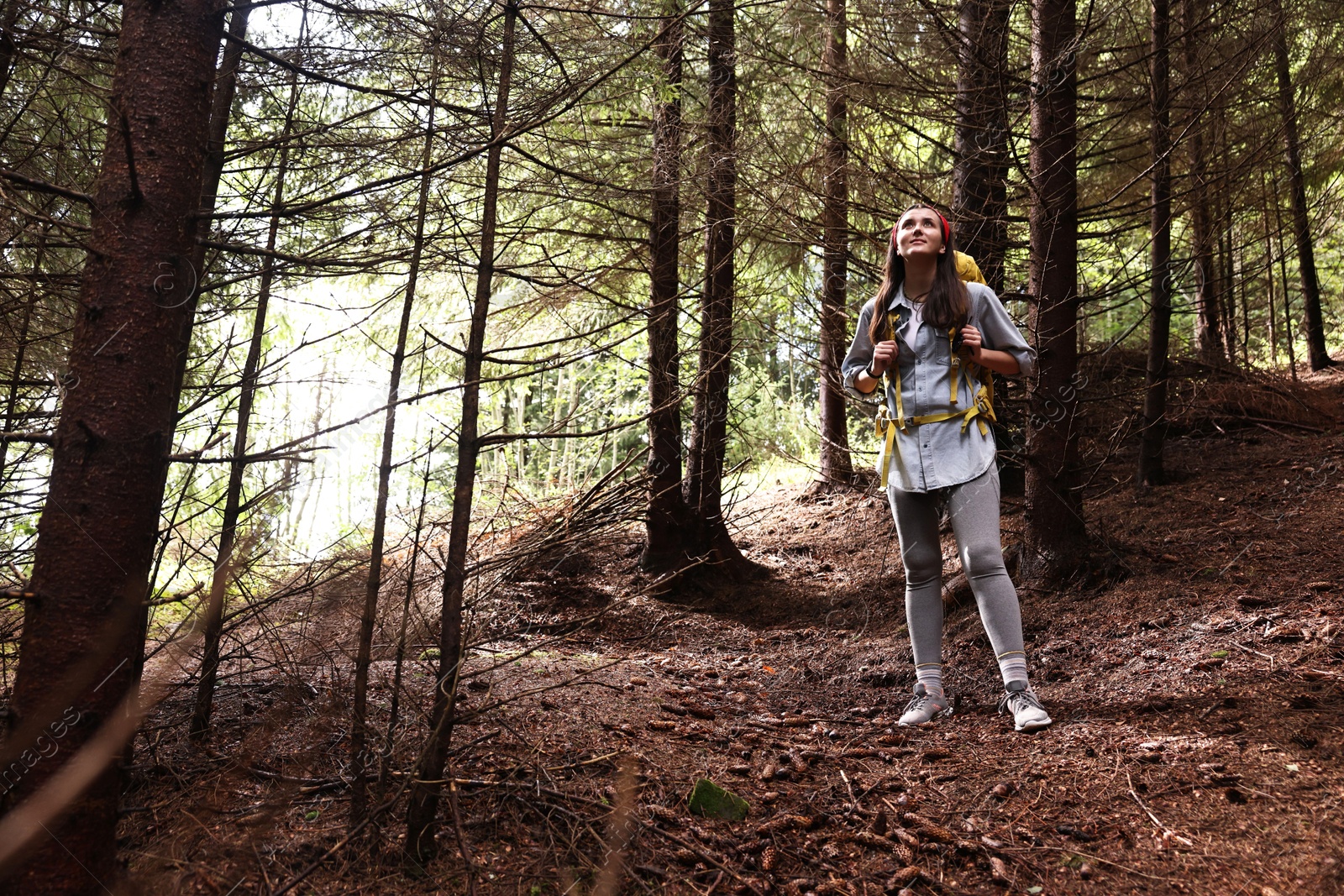 Photo of Young hiker with backpack enjoying time in forest