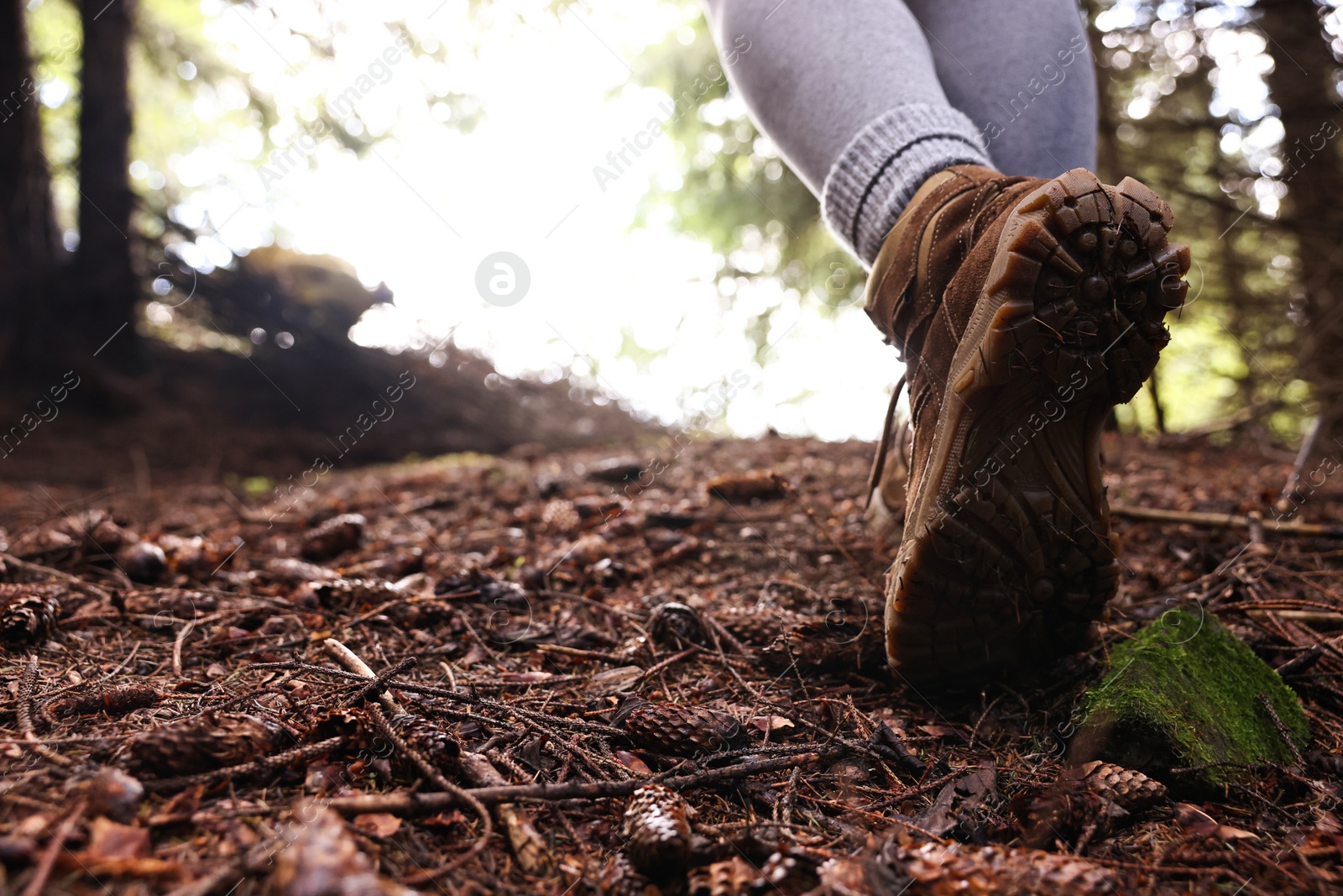 Photo of Hiker in trekking shoes walking in forest, closeup