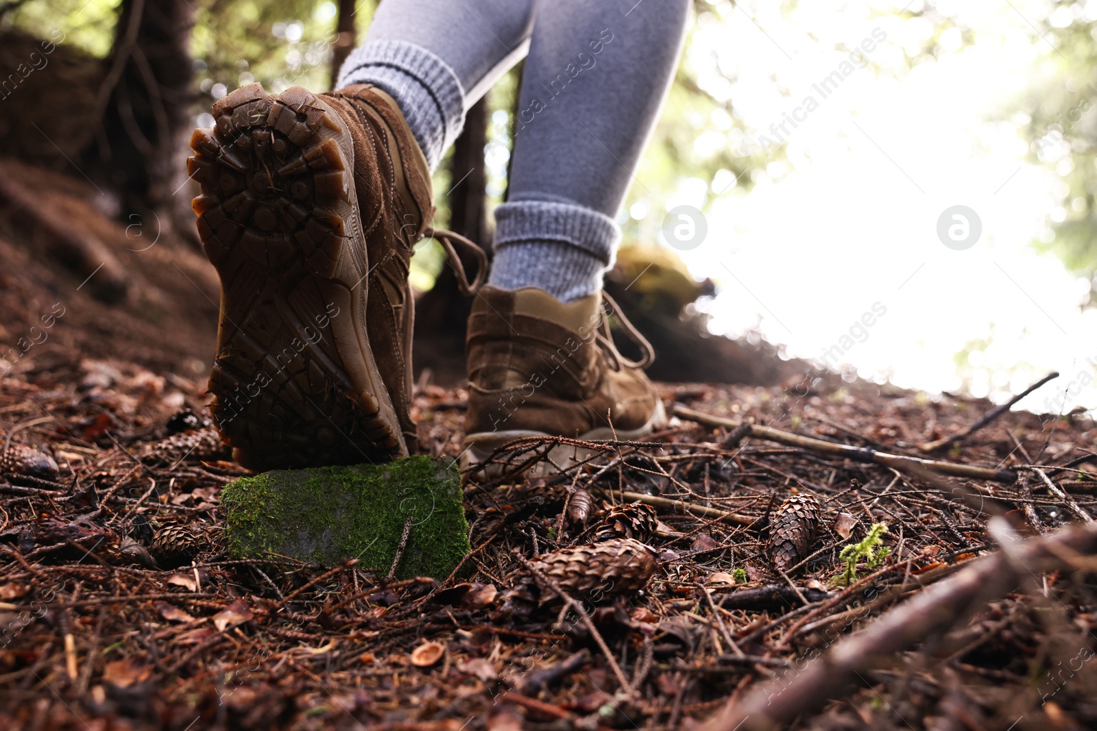 Photo of Hiker in trekking shoes walking in forest, closeup