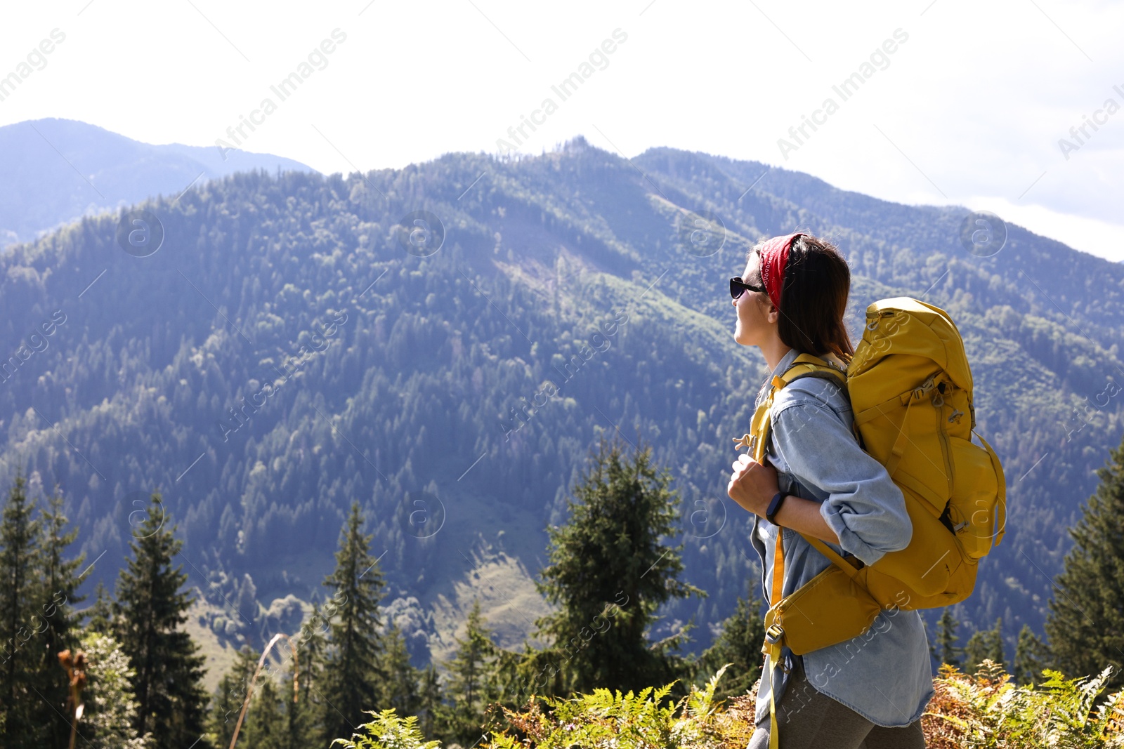 Photo of Young hiker with backpack in mountains on sunny day