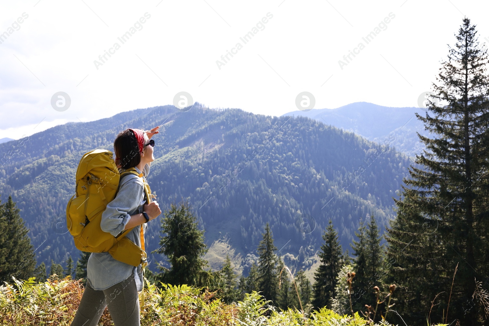 Photo of Young hiker with backpack in mountains on sunny day