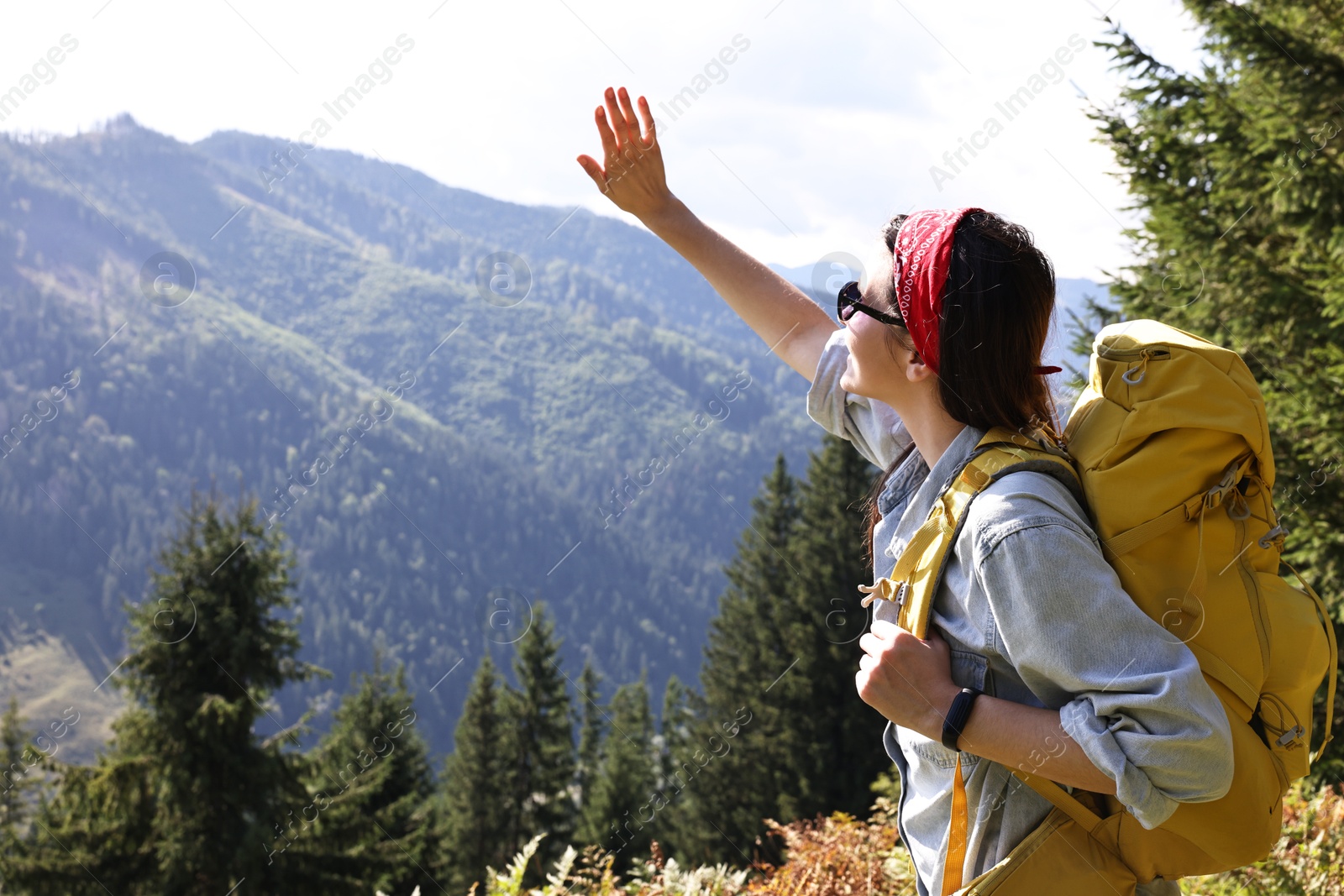 Photo of Young hiker with backpack in mountains on sunny day