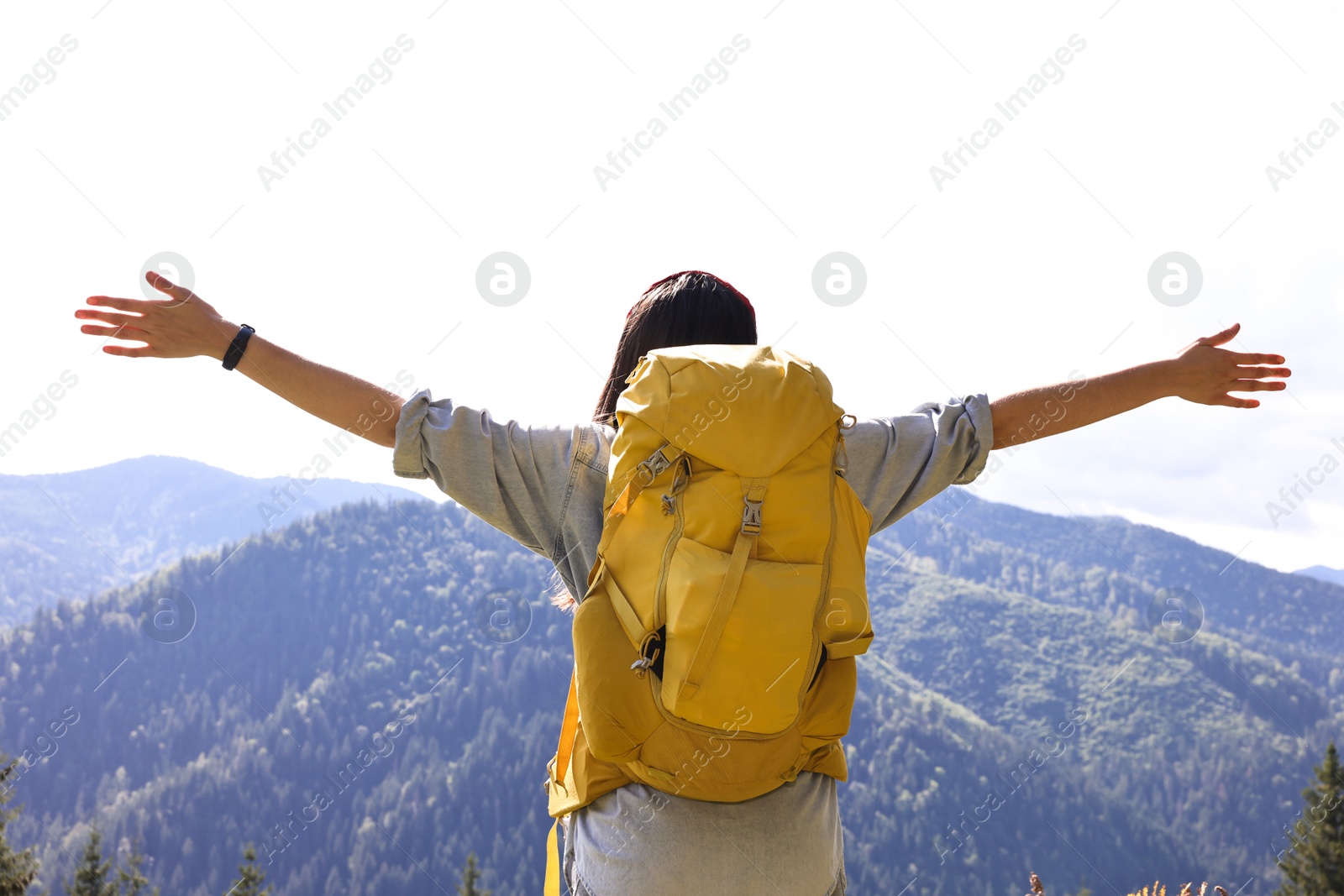 Photo of Young hiker with backpack in mountains, back view