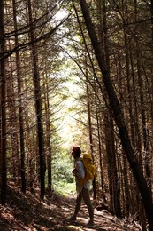 Young hiker with backpack enjoying time in forest