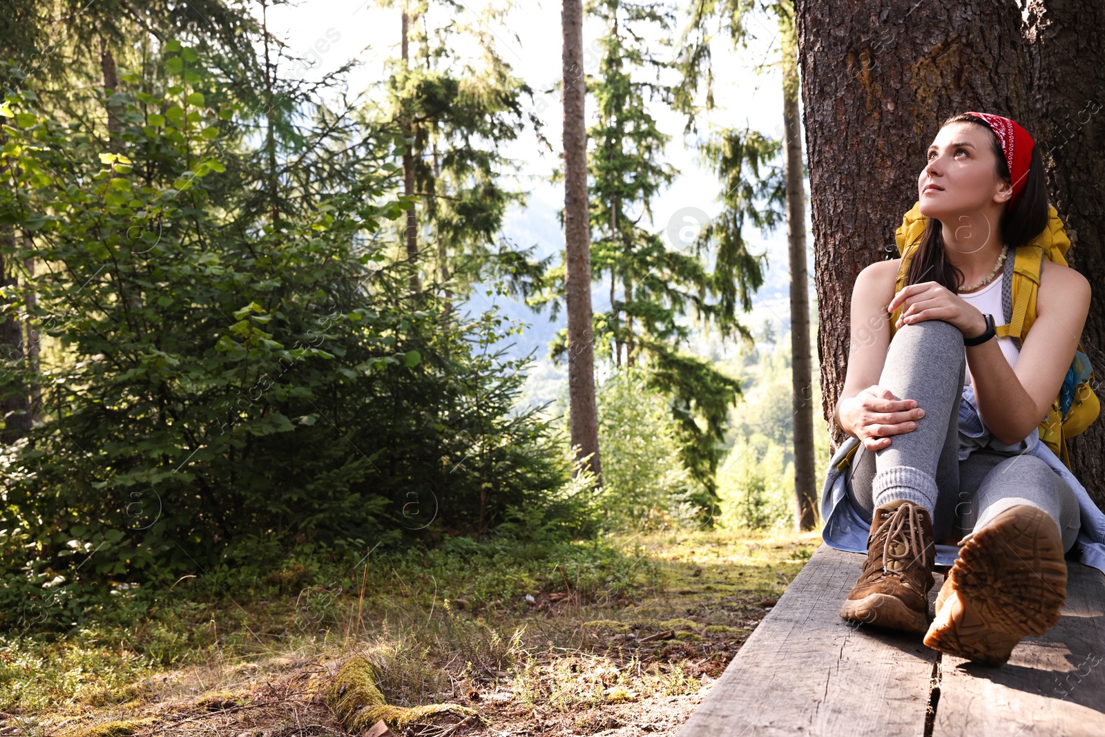 Photo of Young hiker sitting on wooden bench in forest