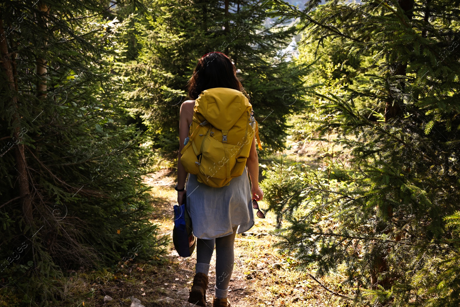 Photo of Young hiker with backpack walking in forest, back view