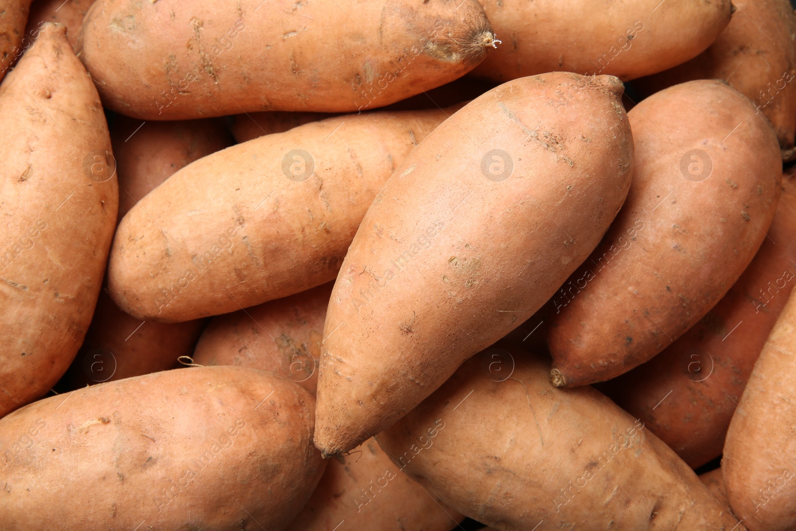 Photo of Fresh raw sweet potatoes as background, top view